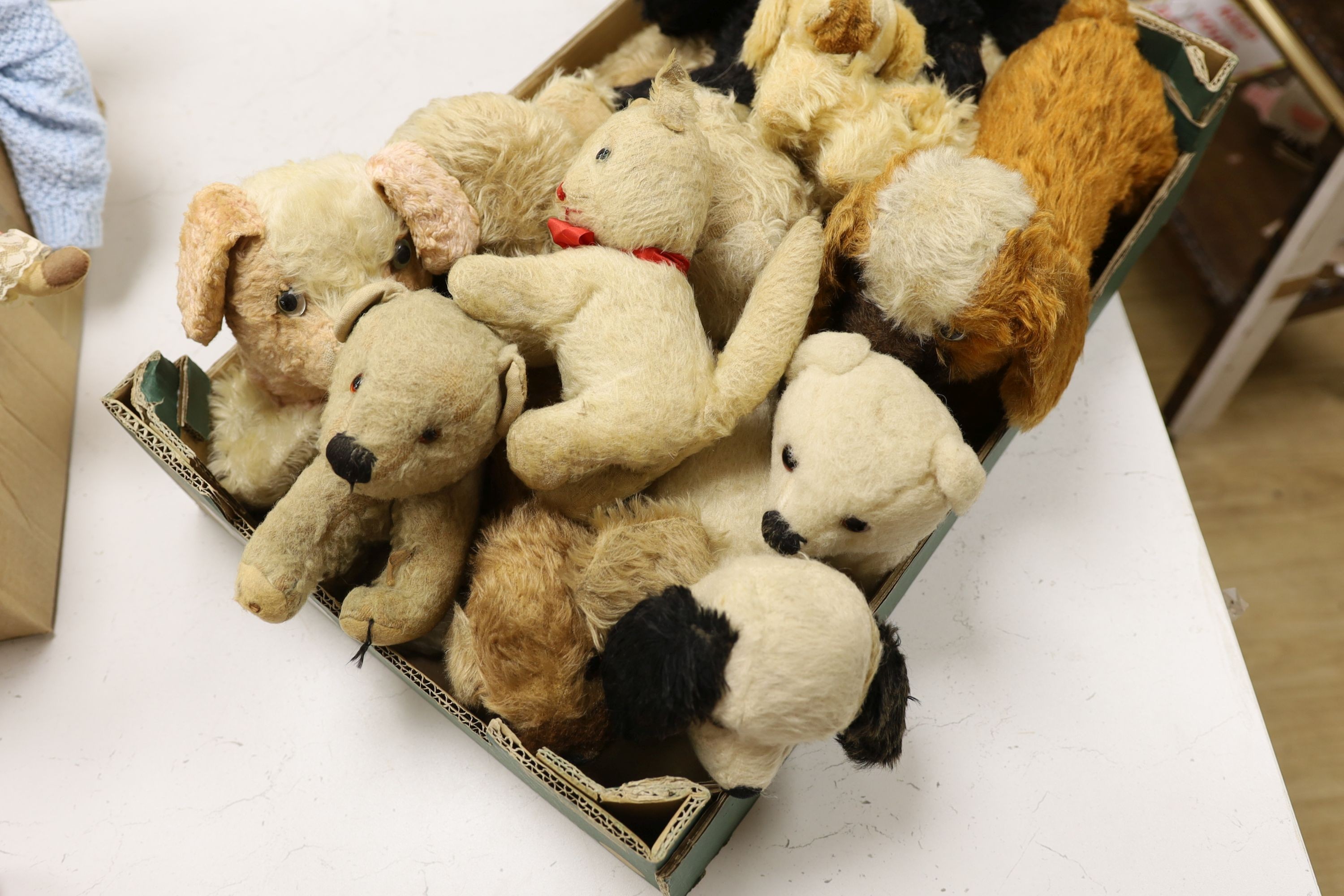 Dog Night Dress Cases Including chiltern with 7 Dogs And Other Animals.